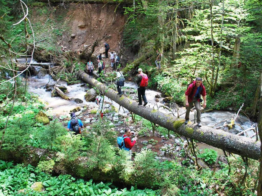 Rafting Camp Tara Center Tri Vodenice Bastasi Екстериор снимка